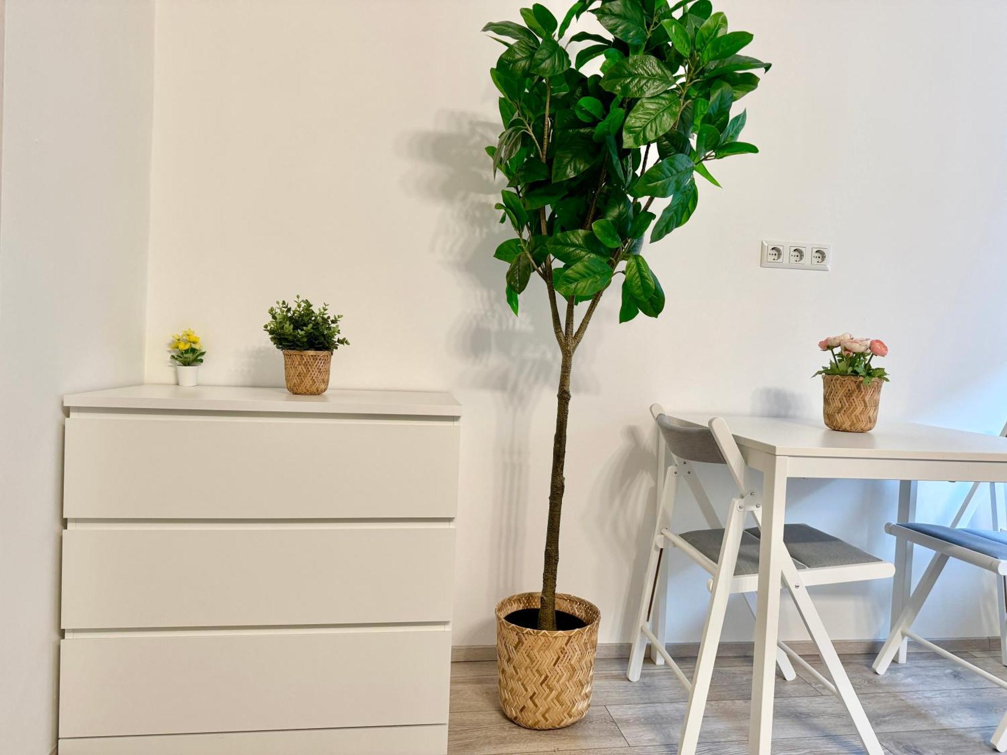 Apartamento Stylish Schonbrunn - Free Underground Parking *
